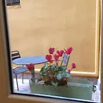 Casa Noah *