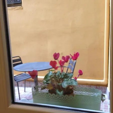 Casa Noah *