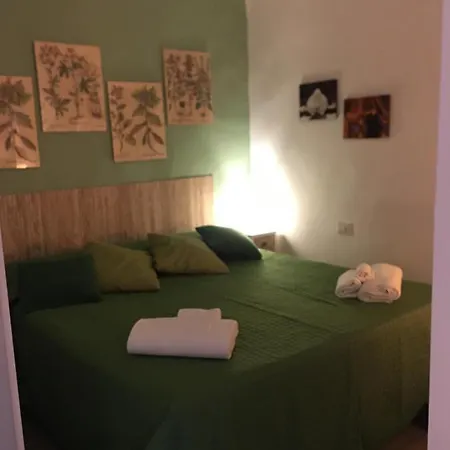 Casa Noah